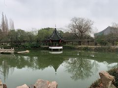 -上海醉白池公园