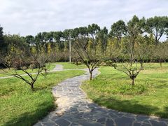 -黄陂区野村谷景区