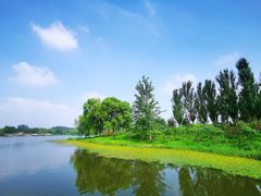 -东郊湿地公园