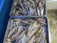 -峡谷农家乐饭店