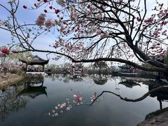 -无锡蠡湖国家湿地公园-蠡园