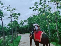 景点-东芭乐园
