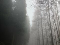 -山王坪喀斯特国家生态公园