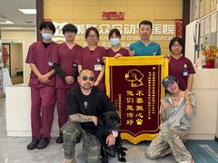 -美联众合爱康动物医院•复杂内科•肿瘤科•牙科•腔镜诊疗中心