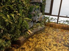 -一盃山水咖啡茶馆