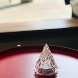 💞公司楼下的咖啡小店💞