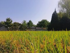 -北坞公园