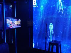 -唱吧麦颂KTV·派对(东坝店)