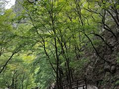 -秦岭天竺山生态文化旅游景区