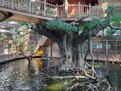 -南宫五洲植物乐园