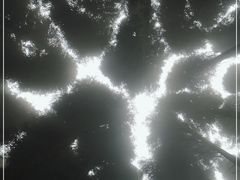 -武陵山森林公园
