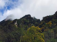 -青峰峡国家森林公园