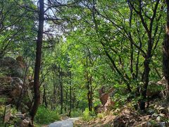 -沈阳辉山风景区