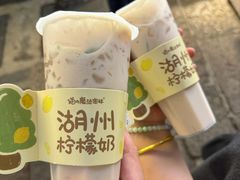 -猫的魔法密林(衣裳街店)