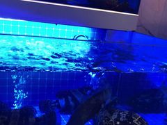 -酌宴府The China Club·广州万富希尔顿酒店(云城东路店)