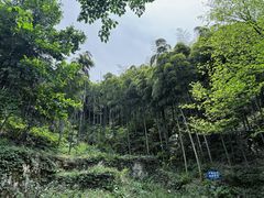 -莫干山风景区