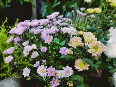 -何兮花店·气球派对鲜花店(马桥银春路万科城店)