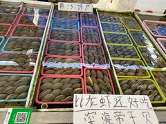 -大湾区中央湿地公园-十九涌