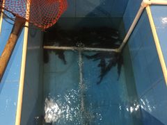 -金明姬铁锅炖(东坝店)