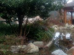 飘雪温泉-黄山温泉国际旅游度假区