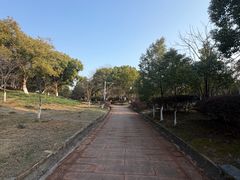-八大山人梅湖景区