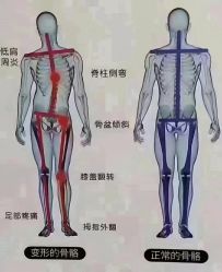 点击看大图 -昕孕瑜伽·孕妇瑜伽·产后修复