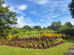 -中国科学院西双版纳热带植物园