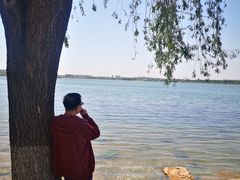 -丁香湖公园