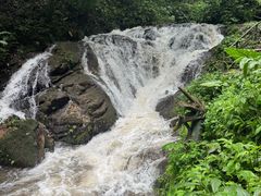 -莫里热带雨林景区