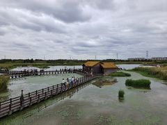 -宁波杭州湾国家湿地公园