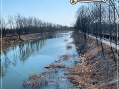 -东郊湿地公园