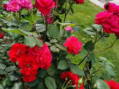 -杭州城北体育公园