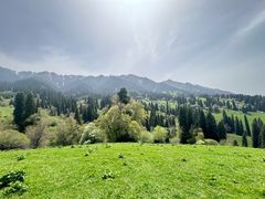 -新疆那拉提国家旅游度假区