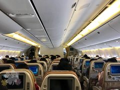 -新加坡航空公司(ION)
