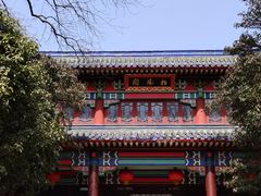 -灵谷景区