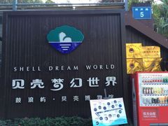 -贝壳梦幻世界