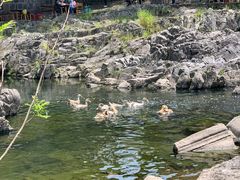 -鹿亭中村