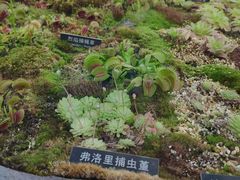 -国家植物园南园