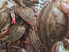 -四海鲜渔家菜(黄金海岸店)
