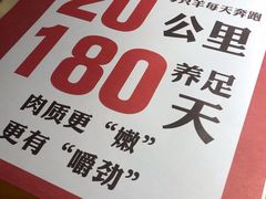 -寂寞的豆芽(西大望南路店)