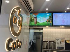 -CoCo都可(骆家庄新店)
