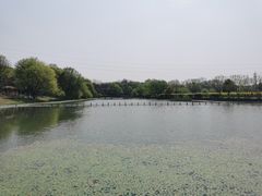 -八卦田遗址公园