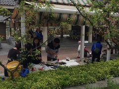 -吴淞炮台湾湿地森林公园烧烤区