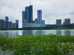-天鹅湖体育公园
