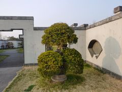 -扬州大运河文化旅游度假区·盆景园