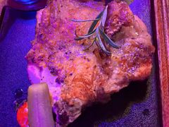-MR.ROCKY洛奇先生RESTAURANT&BAR(宝安壹方城店)