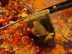 -陈眼镜火锅(总店)