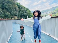 -银湖山郊野公园-相思林