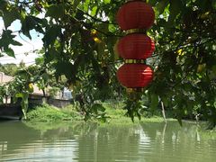 -晓琦农家菜馆·地道农家菜