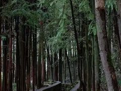 -艺年级儿童语言艺术中心(冉家坝爱融荟城店)